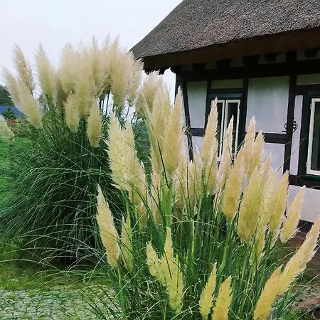 Podroze Checz Prázdninový dům Charbrowo