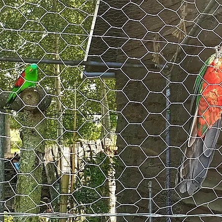 Prázdninový dům Podroze Checz *