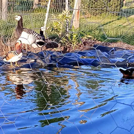 Prázdninový dům Podroze Checz Charbrowo