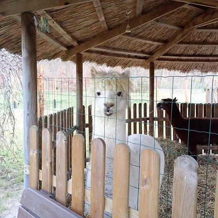 Prázdninový dům Podroze Checz Charbrowo